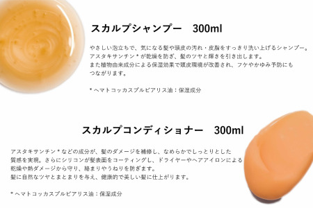 Silaãã¢ã±ã¢2ç¹ã»ãããäœè³ç£ã¢ã¹ã¿ããµã³ãã³é
åãïŒB175-014