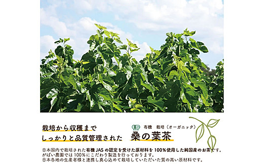 有機栽培 桑の葉茶（3個セット）：B210-003