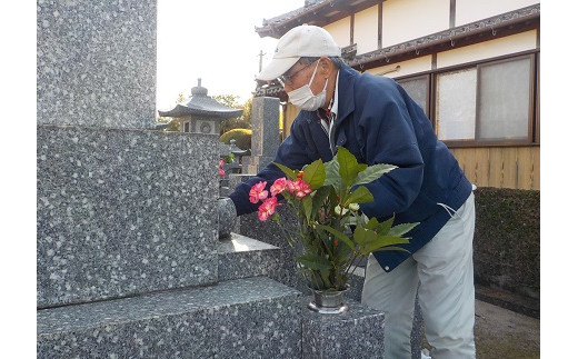 お墓の供養代行サービスプラス：B305-002