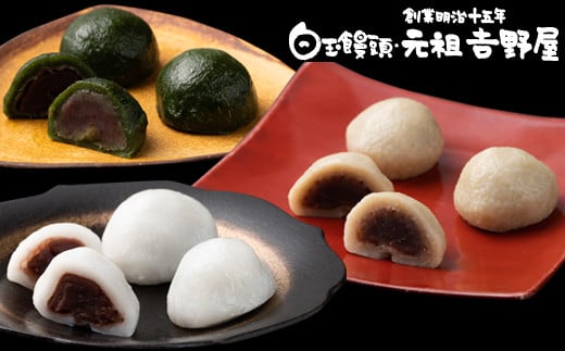 佐賀銘菓 元祖吉野屋 冷凍白玉饅頭詰合せCセット：B290-010