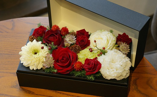 蟄」遽縺ョ逕溯干縺ョ繝輔Λ繝ッ繝シ繝懊ャ繧ッ繧ケシ咤160-019