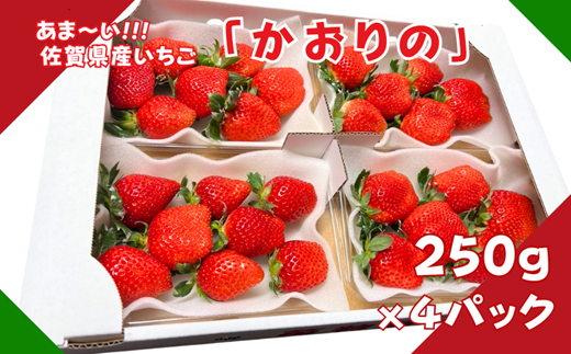 佐賀県産 いちご「かおりの」（250g×4パック）：B110-046