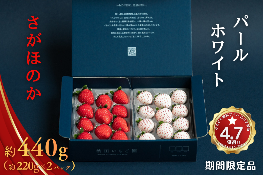佐賀県産いちご さがほのか＆パールホワイト 紅白セット：B140-008