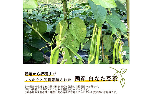 国産 白なた豆茶（3個セット）：B220-006