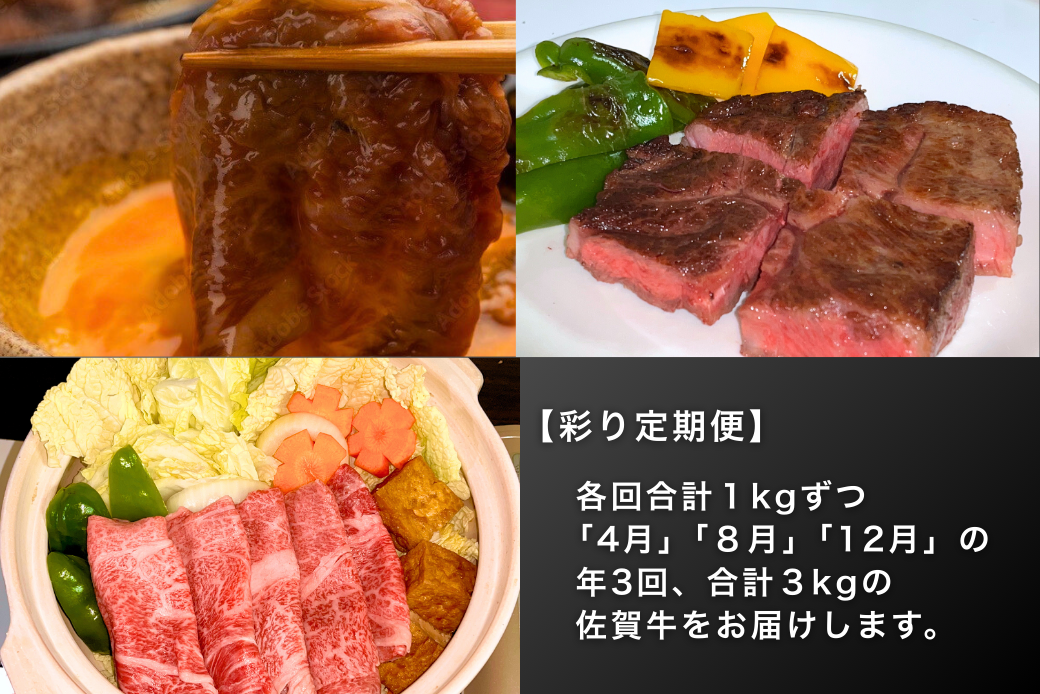 【定期便3回】佐賀牛（プレミアム）彩り定期便 すき焼き しゃぶしゃぶ ステーキ 焼肉 赤身 切り落とし 合計3kg：B875-001