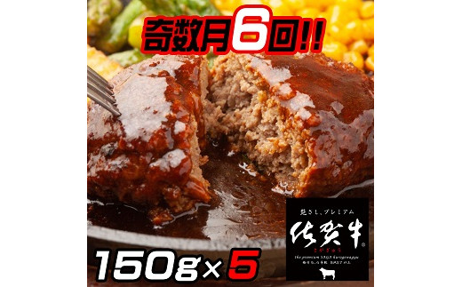【奇数月定期便（年6回）】佐賀牛入りハンバーグ 5個：B580-004