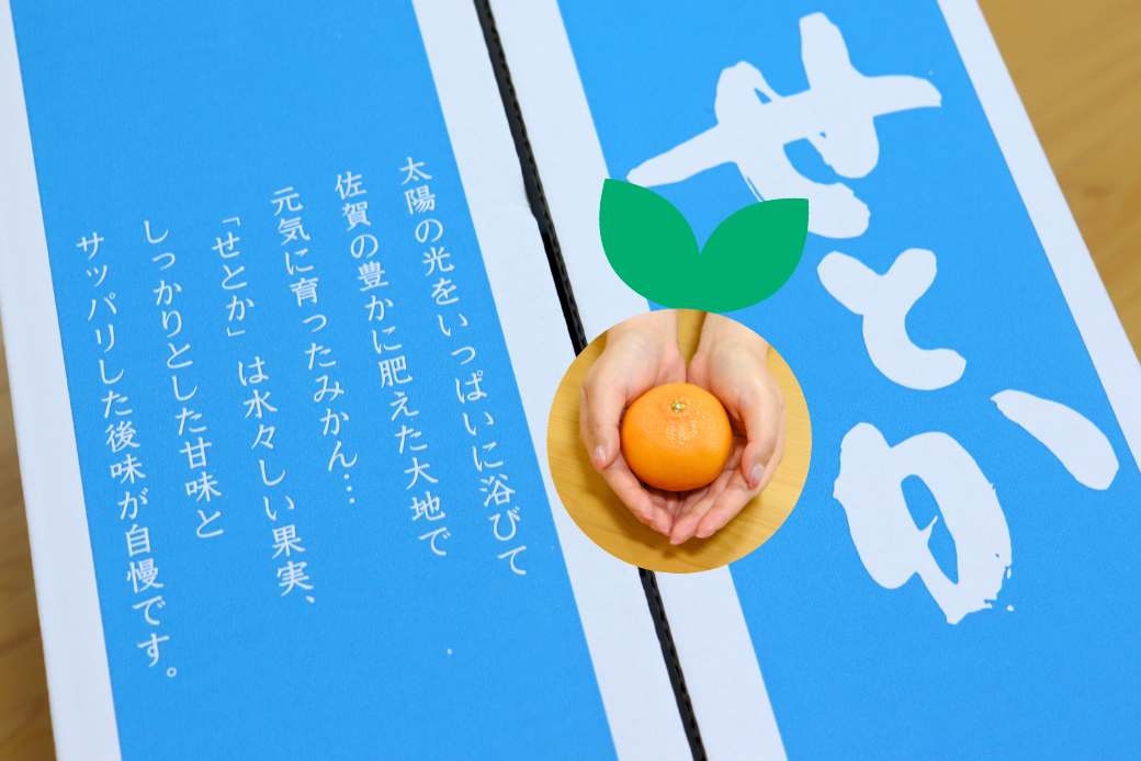 ã1æäžæ¬ïœ2æäžæ¬çºéãäœè³åžå€§åçºç£ã¿ãããããšããïŒB150-077