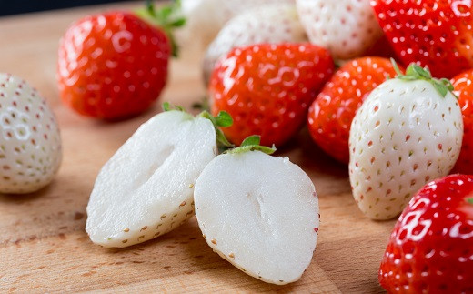 äœè³çç£ãã¡ã èµ€ãã¡ãçœãã¡ã çŽ
çœã»ããïŒB140-084