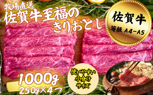 佐賀牛 至福のきりおとし 1000g：B220-043
