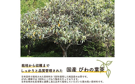 蝗ス逕」 縺ウ繧上ョ闡芽幻シ3蛟九そ繝繝茨シ会シ咤180-018
