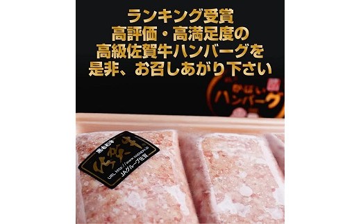 【奇数月定期便（年6回）】佐賀牛入りハンバーグ 10個：B895-003