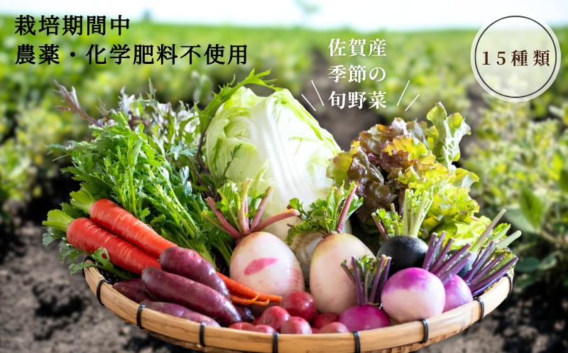佐賀産季節の旬野菜15種類（栽培期間中農薬・化学肥料不使用）：B150-008