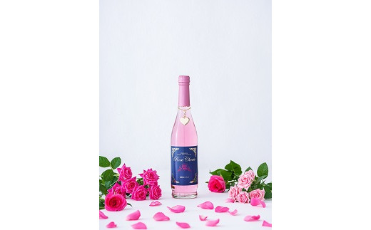 飲ããã© ã©ãŽã£ã¢ã³ããŒãºïŒB270-005