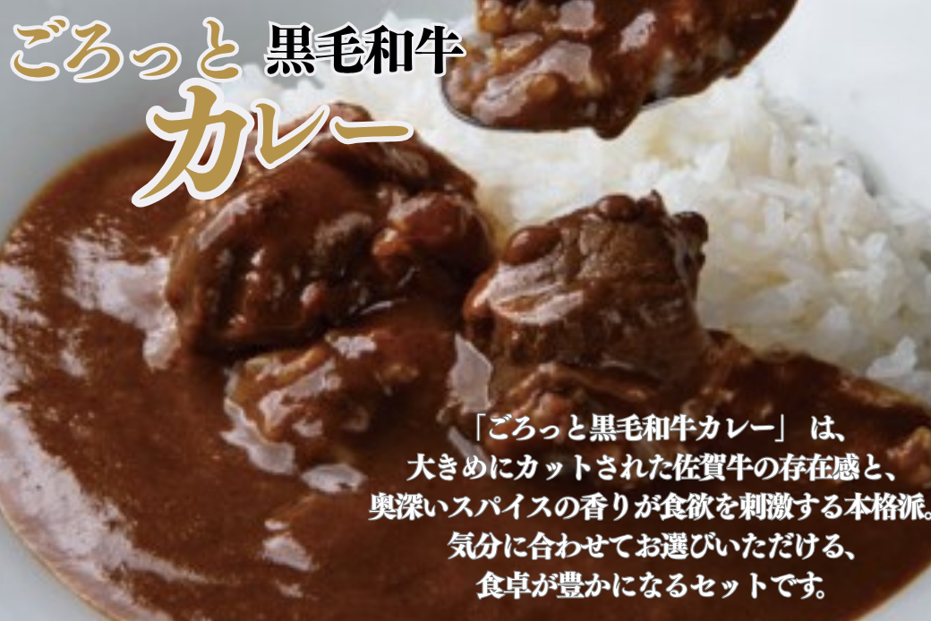 ごろっとカレー・ビーフシチューセット 佐賀牛 カレー ビーフシチュー レトルト 湯煎 レンジ調理 簡単 ：A080-012