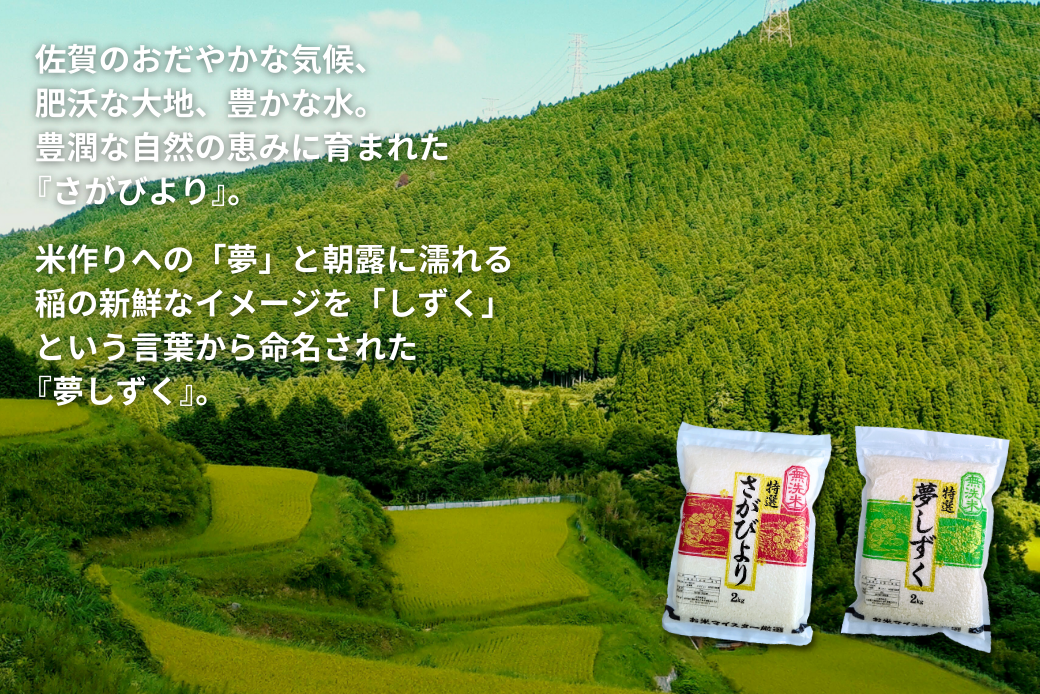 äºã€æãç±³ãã€ã¹ã¿ãŒãå³éžïŒãç¡æŽç±³ãé£ã¹æ¯ã¹ã»ãã ããã³ãã2kgÃ2è¢ã»å€¢ããã2kgÃ2è¢ïŒç空ããã¯ïŒïŒB350-021