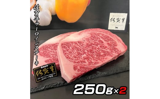 佐賀牛A5サーロインステーキ2枚：B295-001