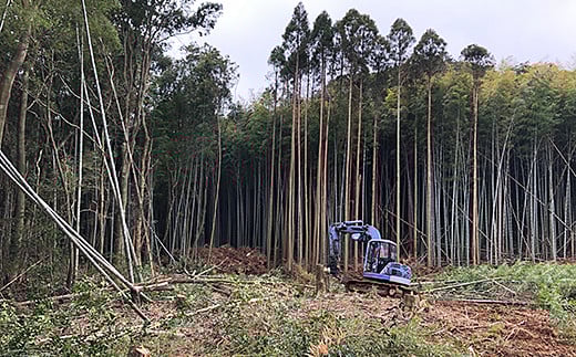 辟壻サ倩蓑テ1邱シ哂085-009