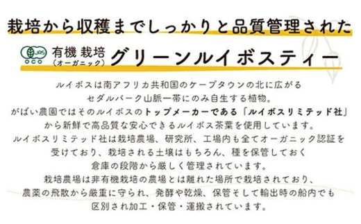 オーガニック グリーンルイボスティー（2個セット）：B110-023