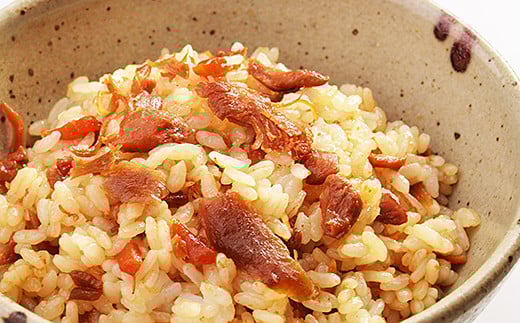 ありたどり使用 鶏めしの素満腹セット(10個)：B200-008