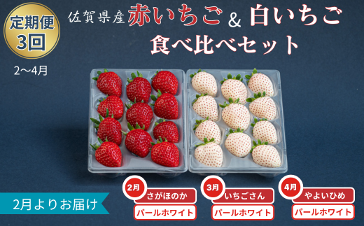【定期便3回】赤いちご白いちご食べ比べ（2月〜4月発送）：B395-013