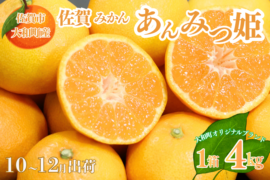 【10～12月発送】数量限定 佐賀みかん あんみつ姫 佐賀市大和町産 温州みかん：B150-075
