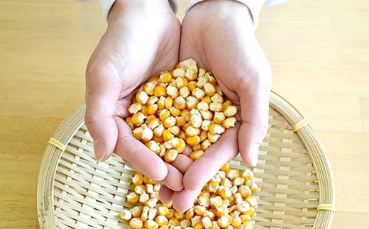 有機栽培 コーン茶（3個セット）：B210-004