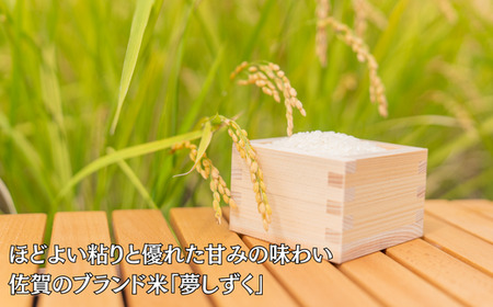 莉、蜥7蟷エ 菴占ウ逵檎肇螟「縺励★縺 逋ス邀ウ6kgシ咤170-037