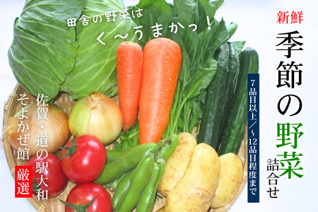 新鮮・季節の野菜詰め合わせ：B120-006