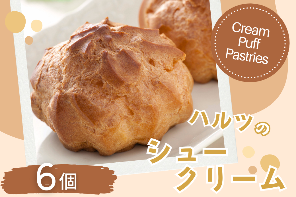 ハルツのシュークリーム 6個 創業40年 スイーツ 洋菓子 お菓子 おやつ デザート 小分け 個包装 ご褒美 お取り寄せ 人気 冷凍配送 送料無料 佐賀県 佐賀市：A090-036