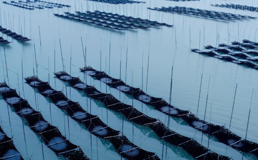 新撰佐賀のり 焼のり：B130-053