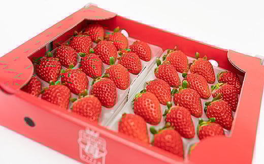 ãå®æäŸ¿5åãäœè³çç£ ïŒçš®ãã¡ãã2æã6æçºéãïŒB650-003