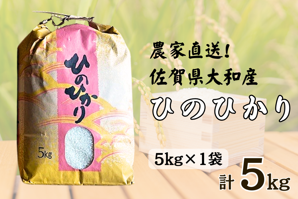 佐賀県大和産「ひのひかり」5kg 米 農家直送：B170-034