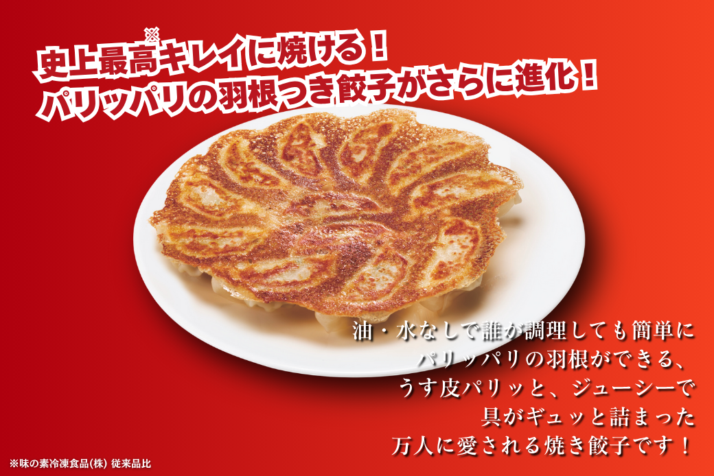 AJINOMOTOギョーザ 20袋 ぎょうざ 240個 味の素 冷凍食品 餃子 簡単調理 加工食品 惣菜 冷凍 佐賀市：B240-024