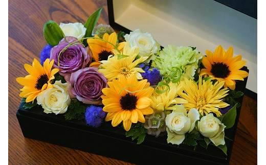 蟄」遽縺ョ逕溯干縺ョ繝輔Λ繝ッ繝シ繝懊ャ繧ッ繧ケシ咤160-019