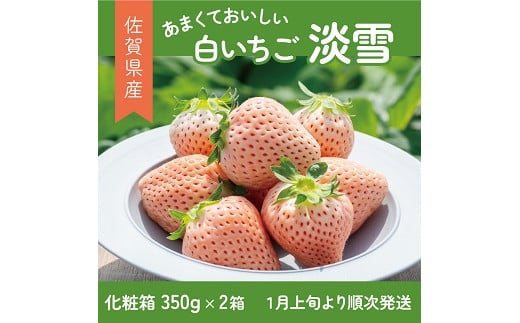 希少価値 佐賀県産 いちご 淡雪 （化粧箱×2箱） フルーツ 果物 旬 苺 白いちご 350g×2P 贈答 化粧箱 ギフト プレゼント 九州 佐賀県 佐賀市 清瀬農園 ：B190-026