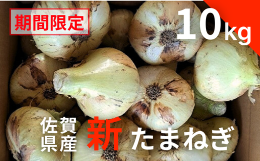 【期間限定】佐賀県産 新たまねぎ（10kg）：A095-054