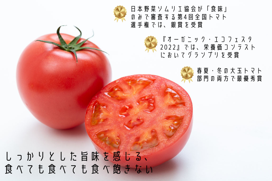 【期間限定】栄養価コンテストでグランプリを受賞した「古賀とまと」 3月〜5月発送 トマト 野菜 産地直送 佐賀県 佐賀市：B290-008