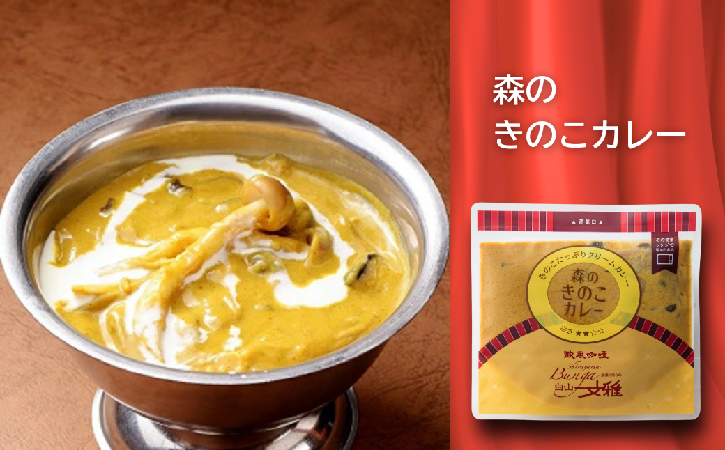 白山文雅カレー２種セット（ビーフ・きのこ）：B120-072