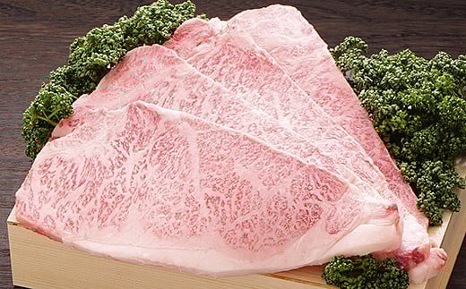 佐賀牛ロースステーキ 200g×4枚：B645-001