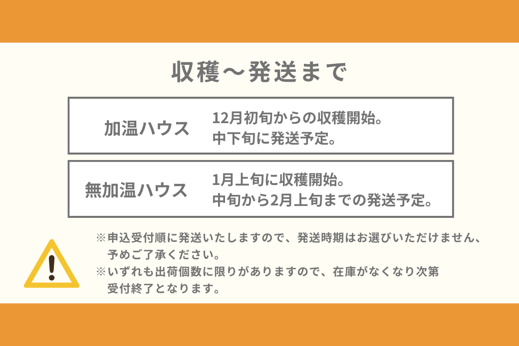 【12月～2月上旬発送】佐賀市大和町産みかん「津の輝」 温州みかん 佐賀みかん 贈答 ギフト：B150-076