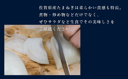 縲先悄髢馴剞螳壹台ス占ウ逵檎肇 譁ー縺溘∪縺ュ縺趣シ10kgシ会シ哂095-054