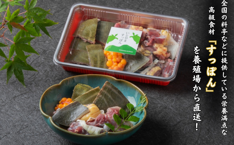 ãã¹ãŒãä»ããæ é€æºç¹ãããšããŸãã£ãœããã®éã»ãã 300g äœè³çç£ ã¹ããã³ å·å é ã«ããæžã¿ åœç£ ç°¡å調ç çŸå®¹ å¥åº· ã³ã©ãŒã²ã³ ä¹å· äœè³ç äœè³åž ã€ããæ°Žç£ïŒB240-022