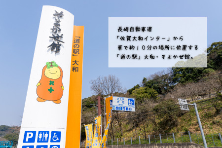 佐賀牛ステーキ＆しゃぶしゃぶセット：B825-001