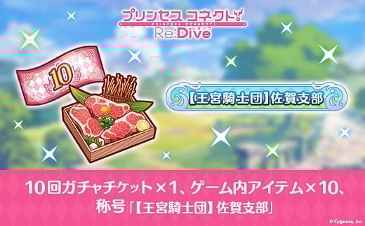 【ふるさと納税限定】Cygames プリコネR ゲーム内アイテムセット【cyg1】：B120-043