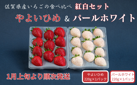 佐賀県産いちご やよいひめ&パールホワイト 紅白セット：B140-082