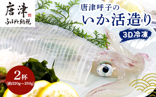 『先行予約』唐津呼子産いか活造り 2杯(約220g～250g×2) 急速冷凍 新鮮そのまま食卓へ！イカ 刺身 簡単 ギフト ※水揚げあり次第6月以降順次発送させていただきます。