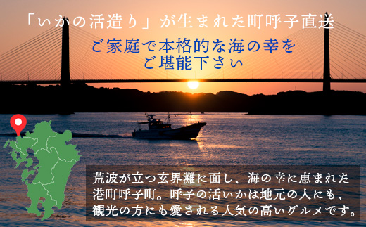 いか丼 80g×6食 ご家庭で手軽に本格的な海の幸を堪能できる味わい深い イカ 烏賊 海鮮 夕食 簡単 お手軽 解凍