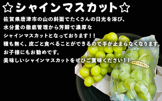 『先行予約』【令和8年9月上旬より順次発送】シャインマスカット2kg 3房～4房 葡萄 ぶどう 果物 フルーツ スイーツ