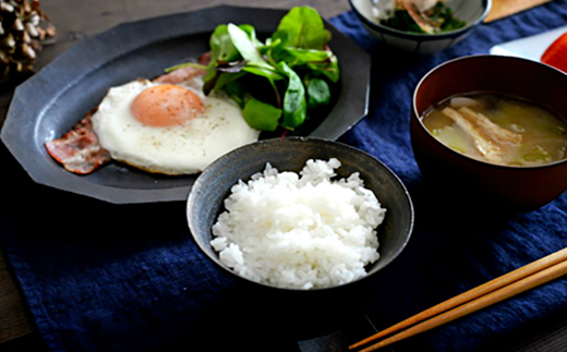 佐賀県唐津市産さがびより 5kg 米の食味ランキング最高ランクの特A評価 冷めても美味しいのでお弁当やおにぎりに最適なお米