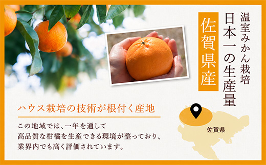 縲主郁。御コ育エ縲上蝉サ、蜥9蟷エ3譛井ク頑流繧医j鬆谺。逋コ騾√鯛落縺ォ縺倥e縺縺セ繧銀落 5kg 菴占ウ逵檎肇縲宣ォ倡エ壽汨讖倥∩縺九s縲第棡迚ゥ繝輔Ν繝シ繝 譟第ゥ